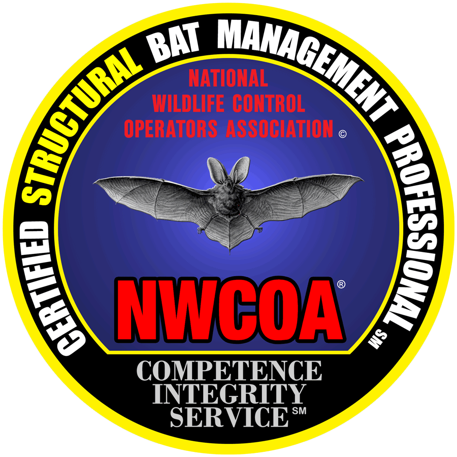 Stuctural Bat Management Certified