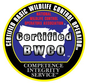 Basic Wildlife Control Operator Certified