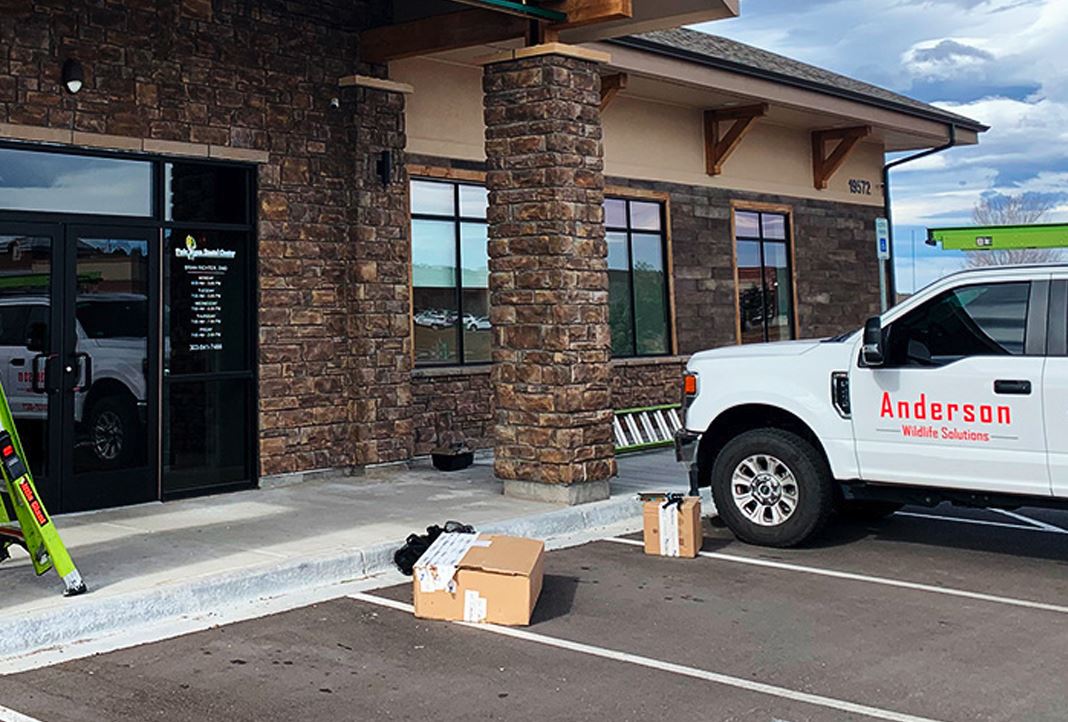 Commercial Pest Control