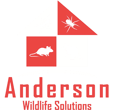 Anderson Wildlife Solutions